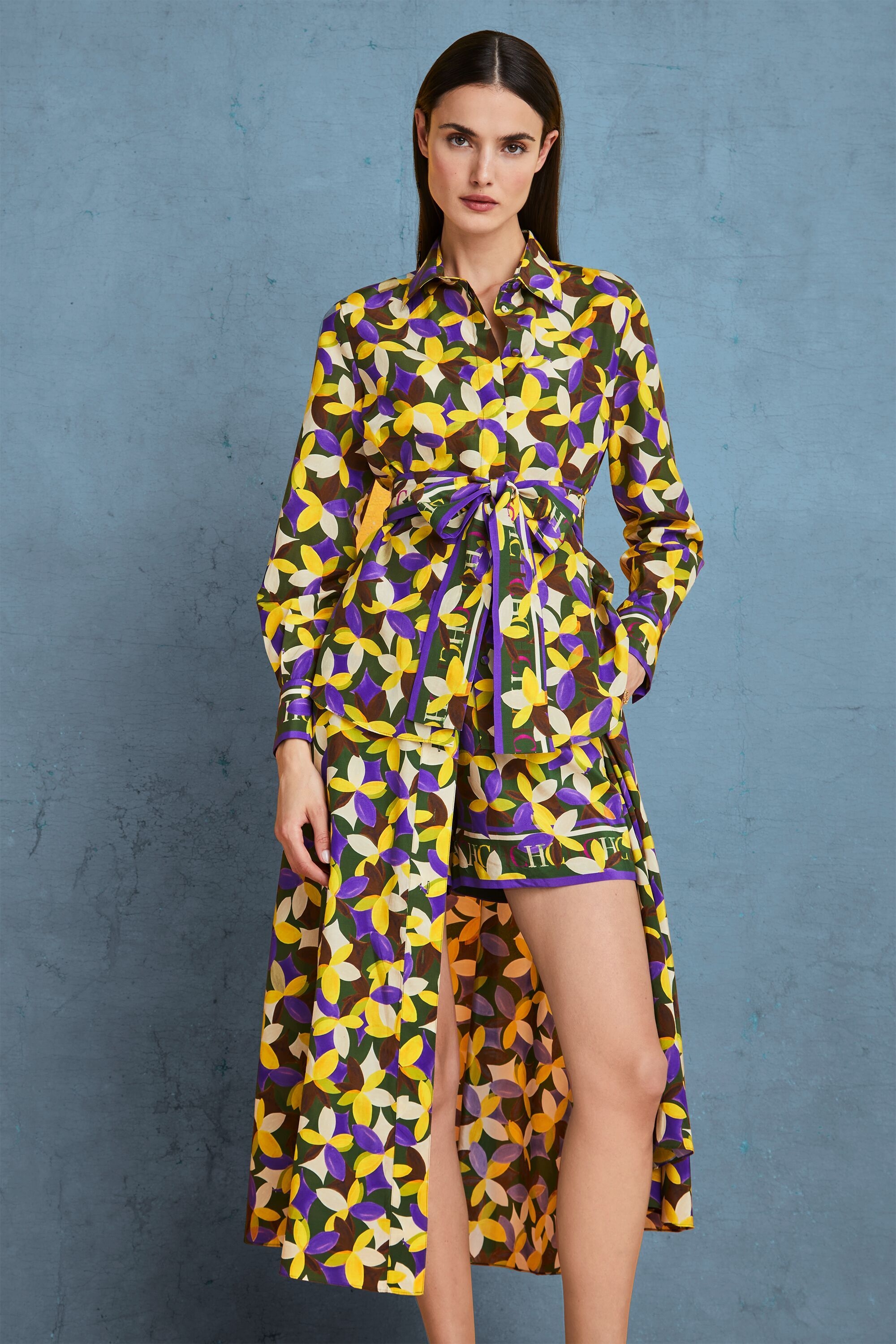 Jazmin printed twill A-line shirt dress