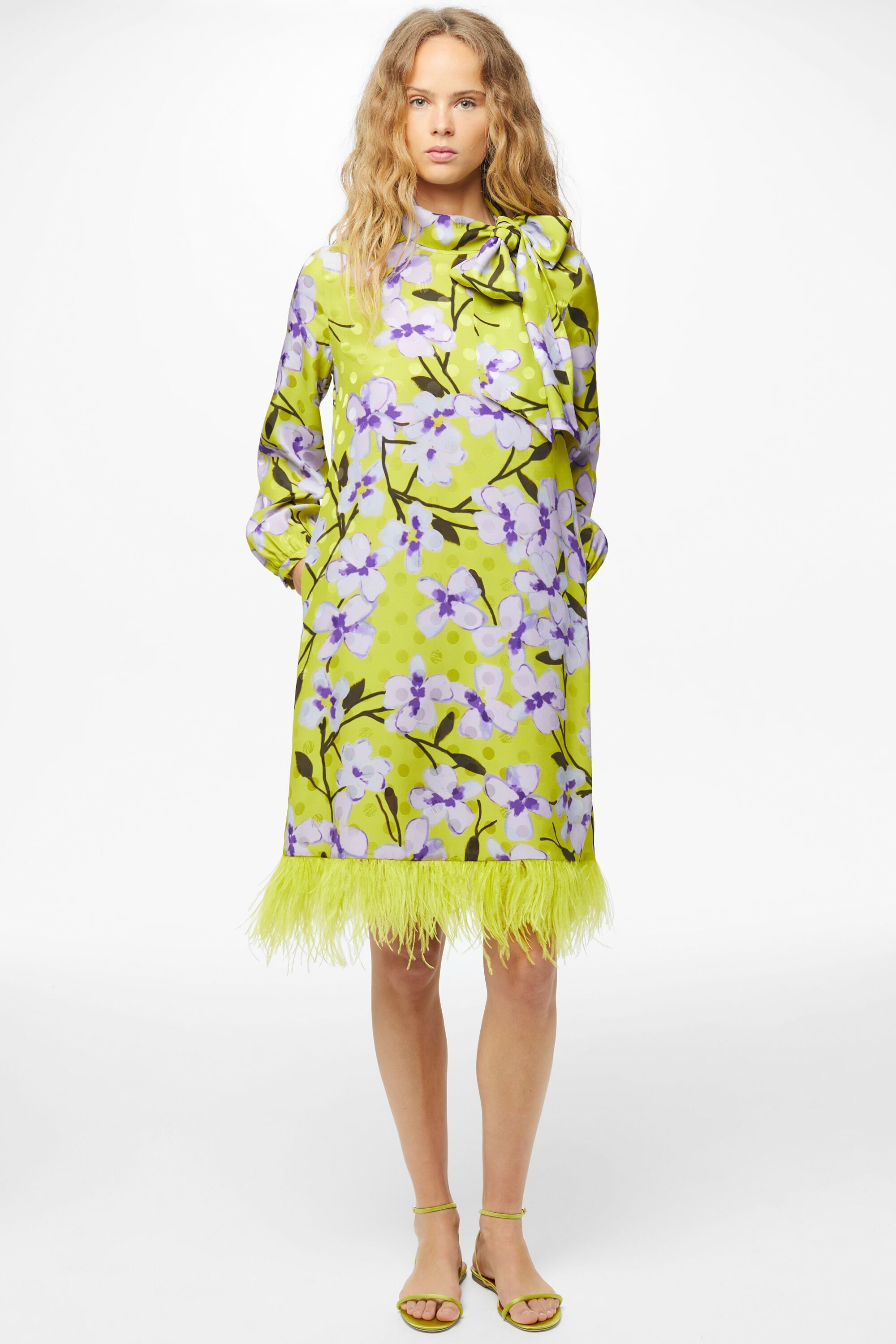 Printed feather-embelished A-line silk jacquard dress