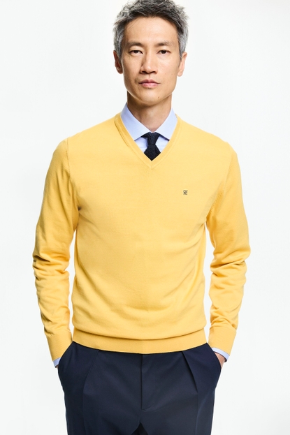 Gassed Cotton V-Neck Sweater