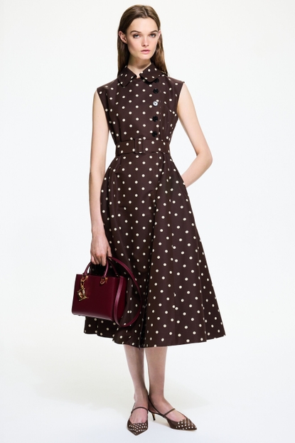 Polka dots print cotton and silk shirt dress