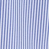BLUE/WHITE
