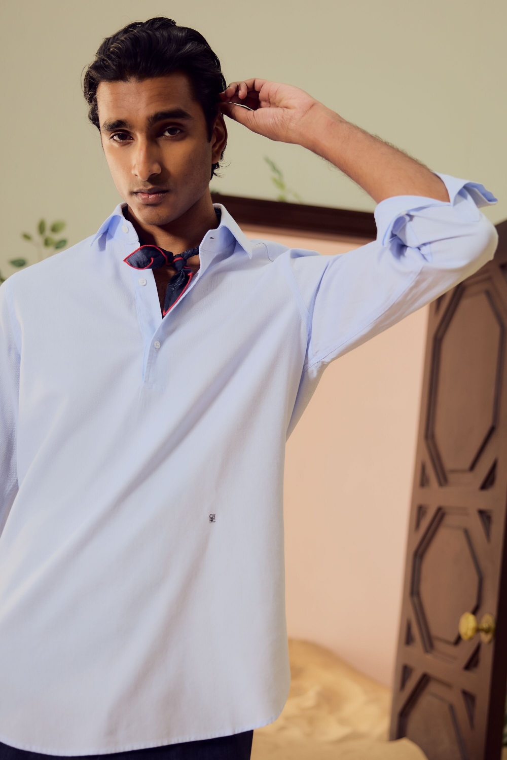 CAMISA POLERA DE ESTRUCTURA