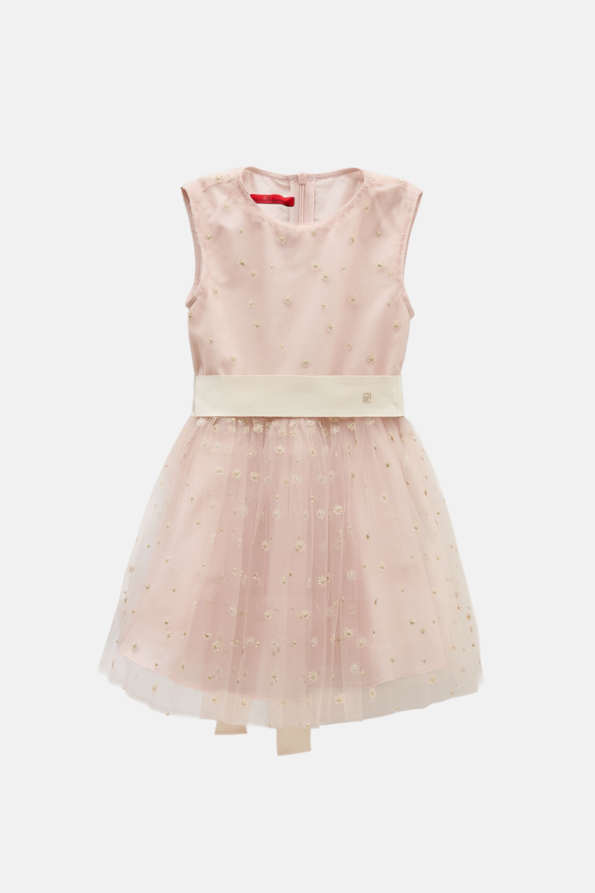 Embroidered Tulle Dress