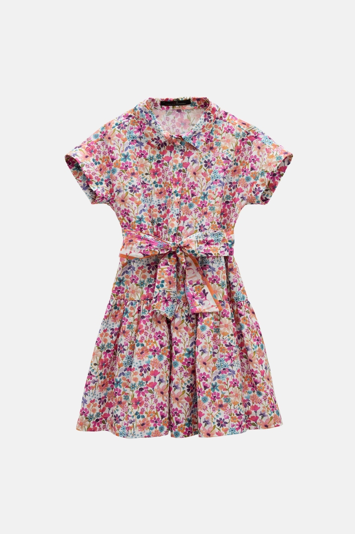 Print Poplin Shirt Dress