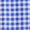 BLUE/WHITE