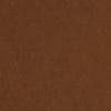 DARK CAMEL
