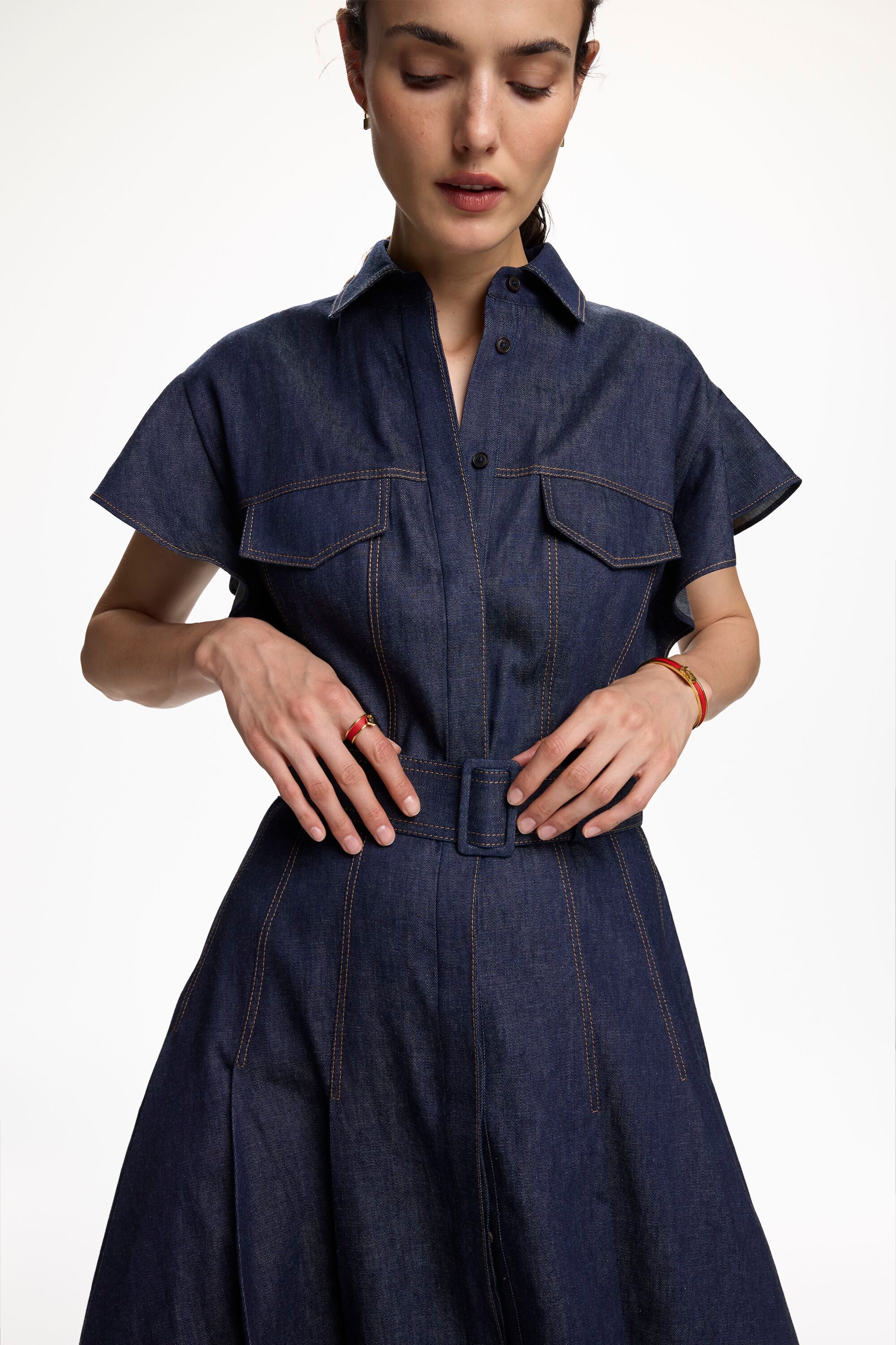 carolina herrera blue denim dress Carolina Herrera Seam and Belt Detailed Denim Dress - Queen Letizia Dresses