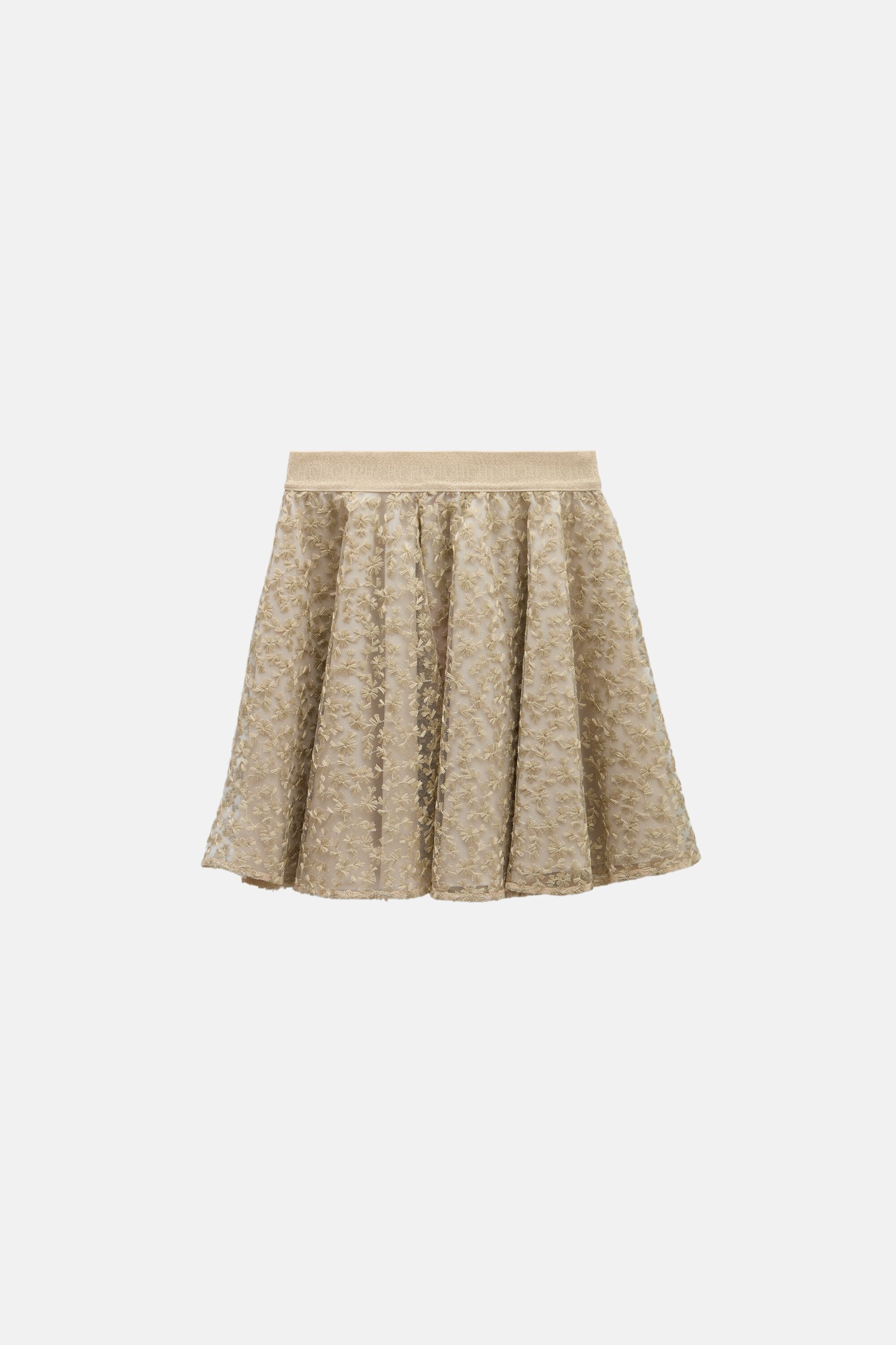 Embroidered Tulle Skirt