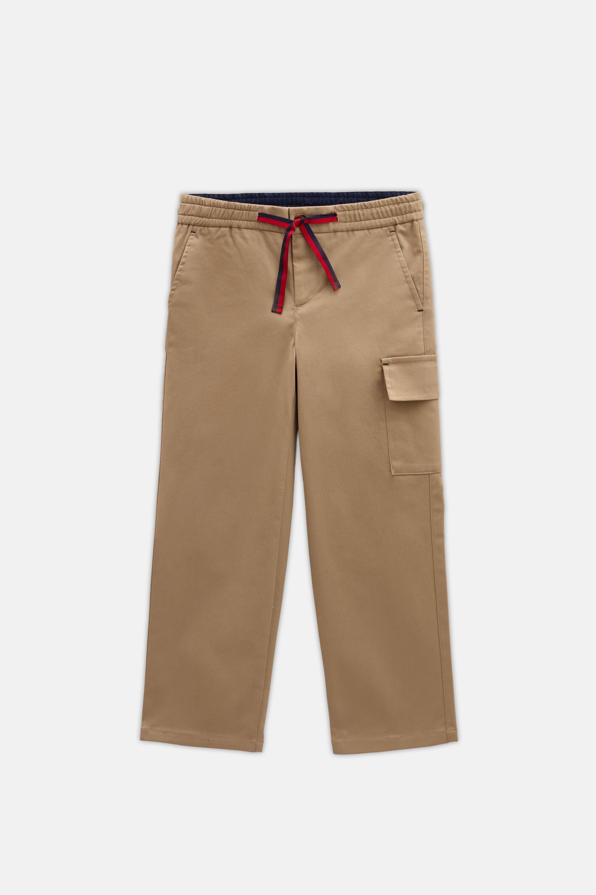 Cotton Micro-Twill Regular Fit Cargo Pants