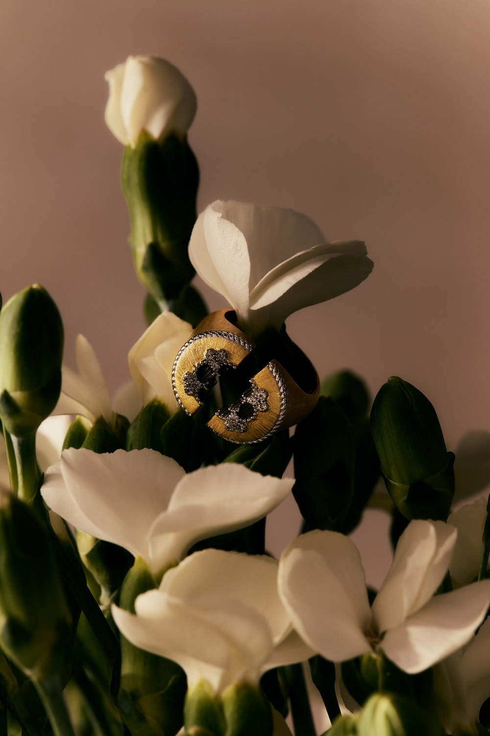 ROSETTA INSIGNIA VERA RING