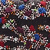 MULTICOLOR