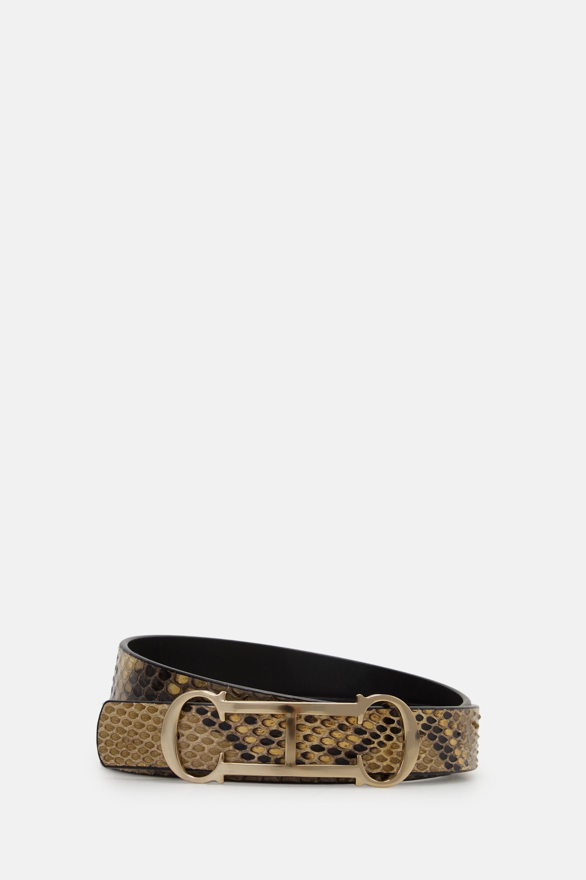 Insignia python belt