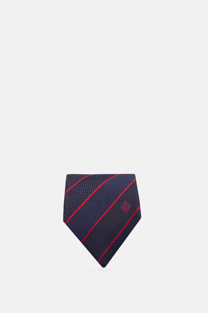 Striped Textured Silk Tie