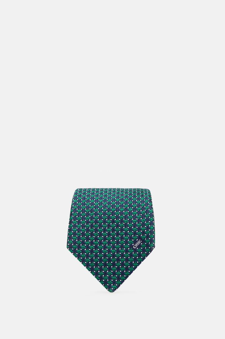 Silk Tie with Motifs