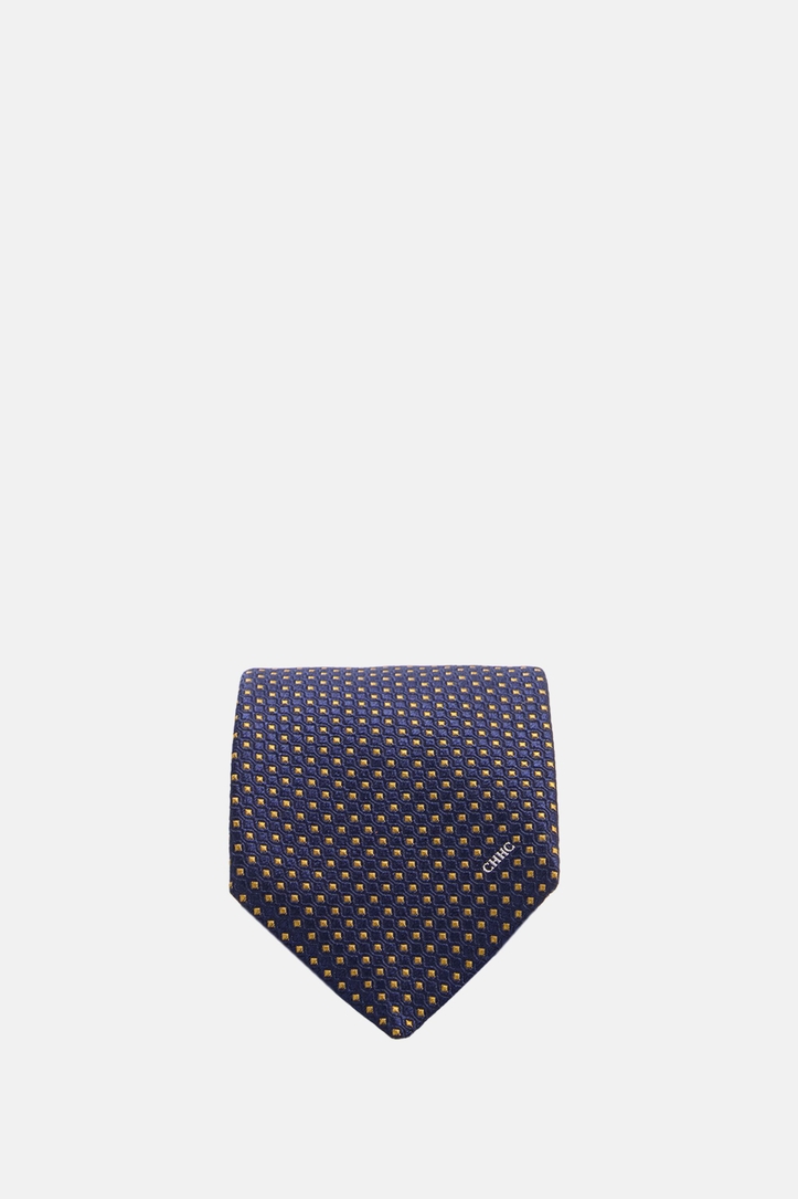 Silk Tie with Motifs