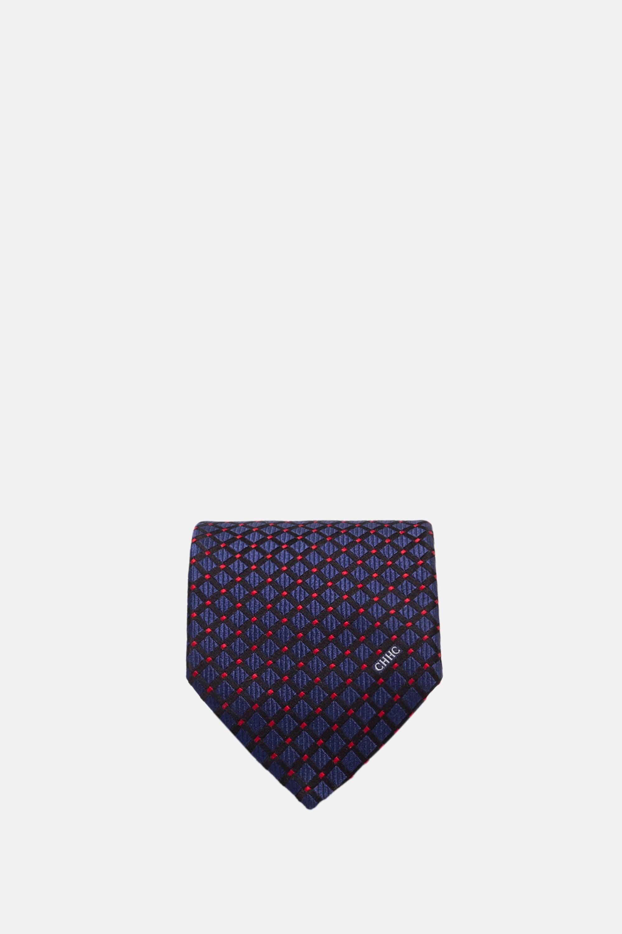 Silk Tie with Motifs