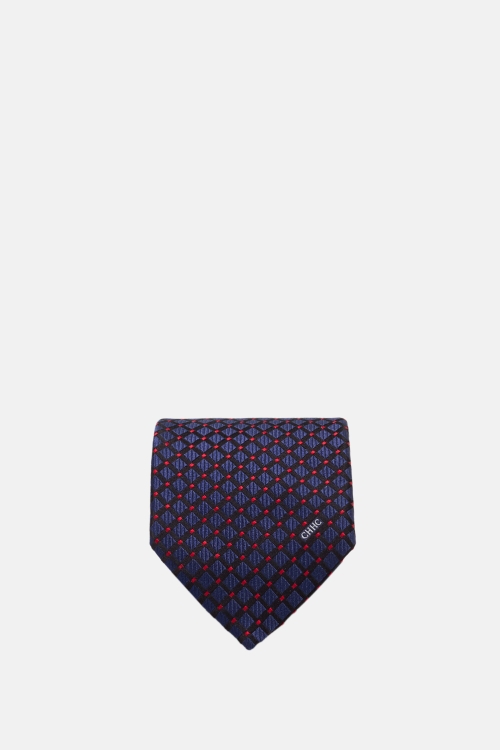 SILK TIE WITH MOTIFS