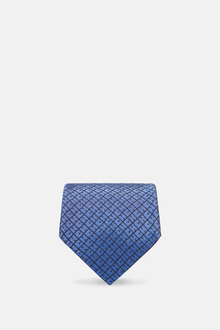 CH 2020 silk tie