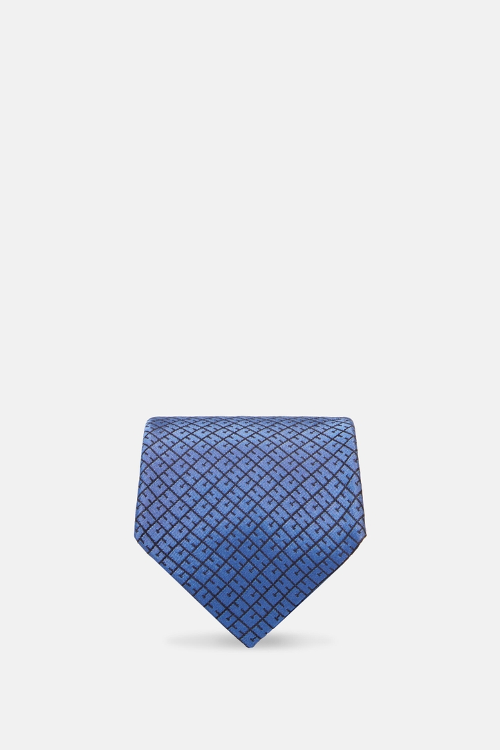 CH 2020 silk tie