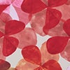 RED/PINK