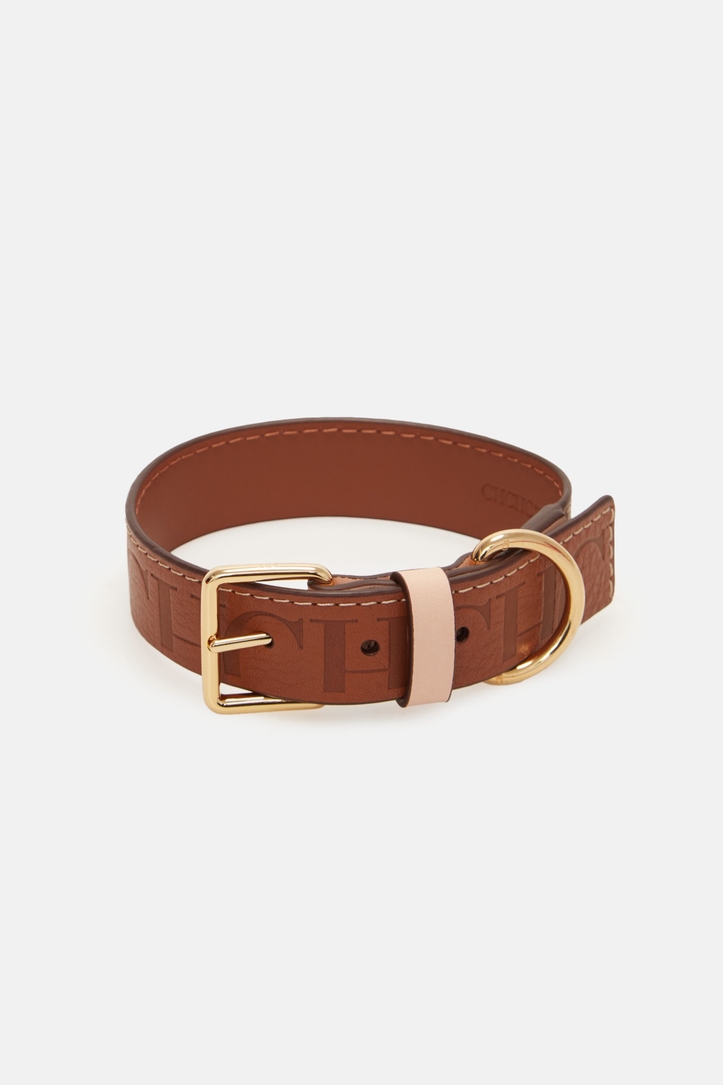 Factory | Collar para perro