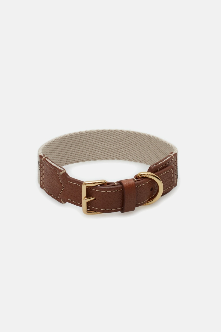 Blasón | Dog collar