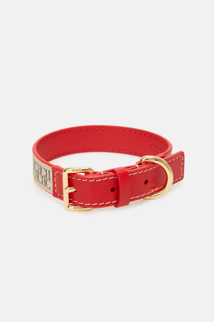 Traveller | Collar para perro