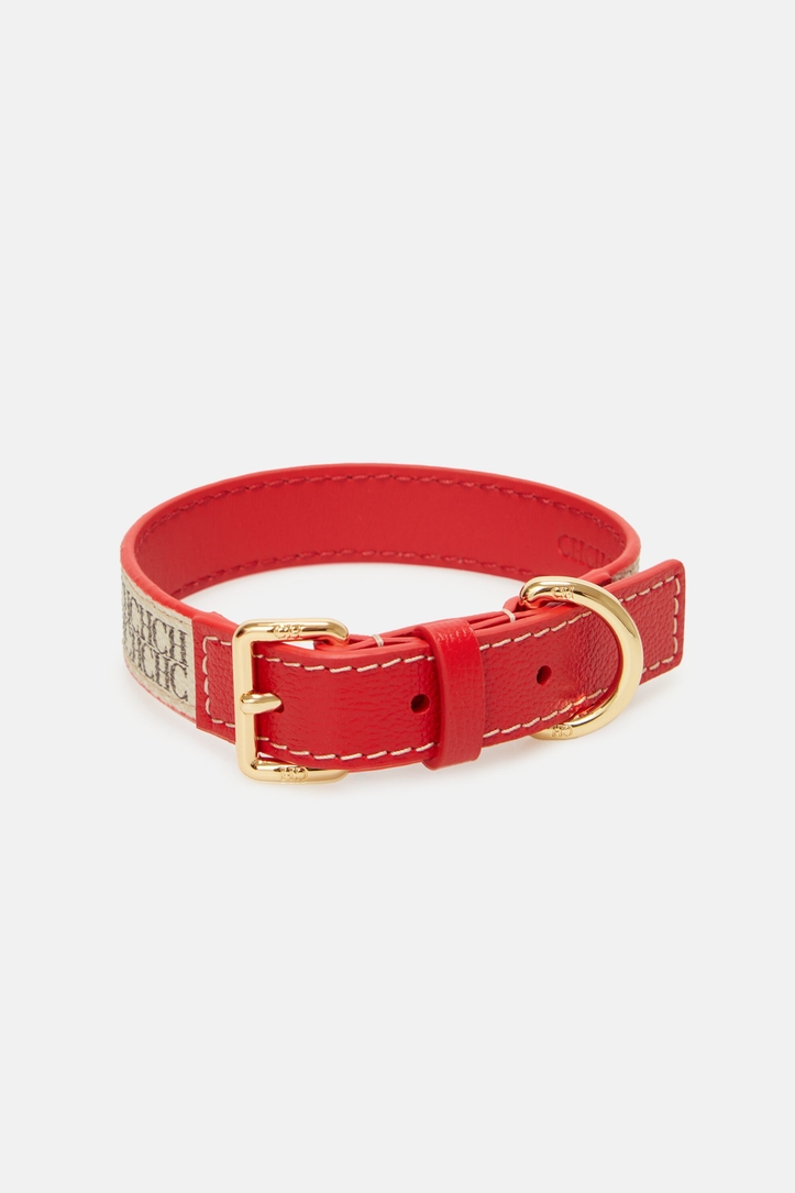 Traveller | Dog collar