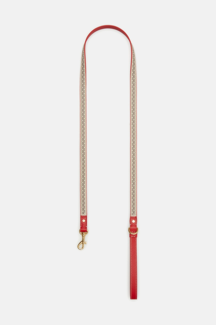 Traveller | Dog leash