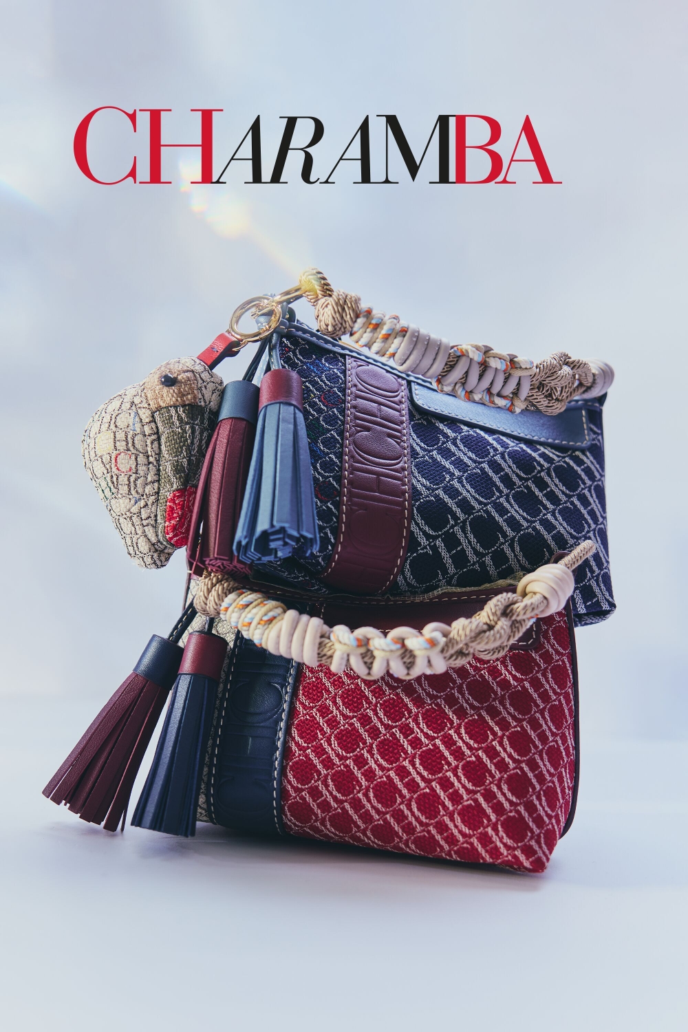 CHARAMBITA | HAND POUCH