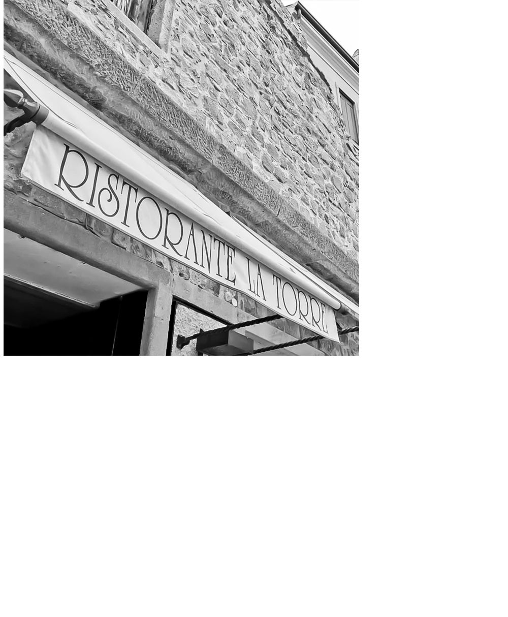 Banner 12