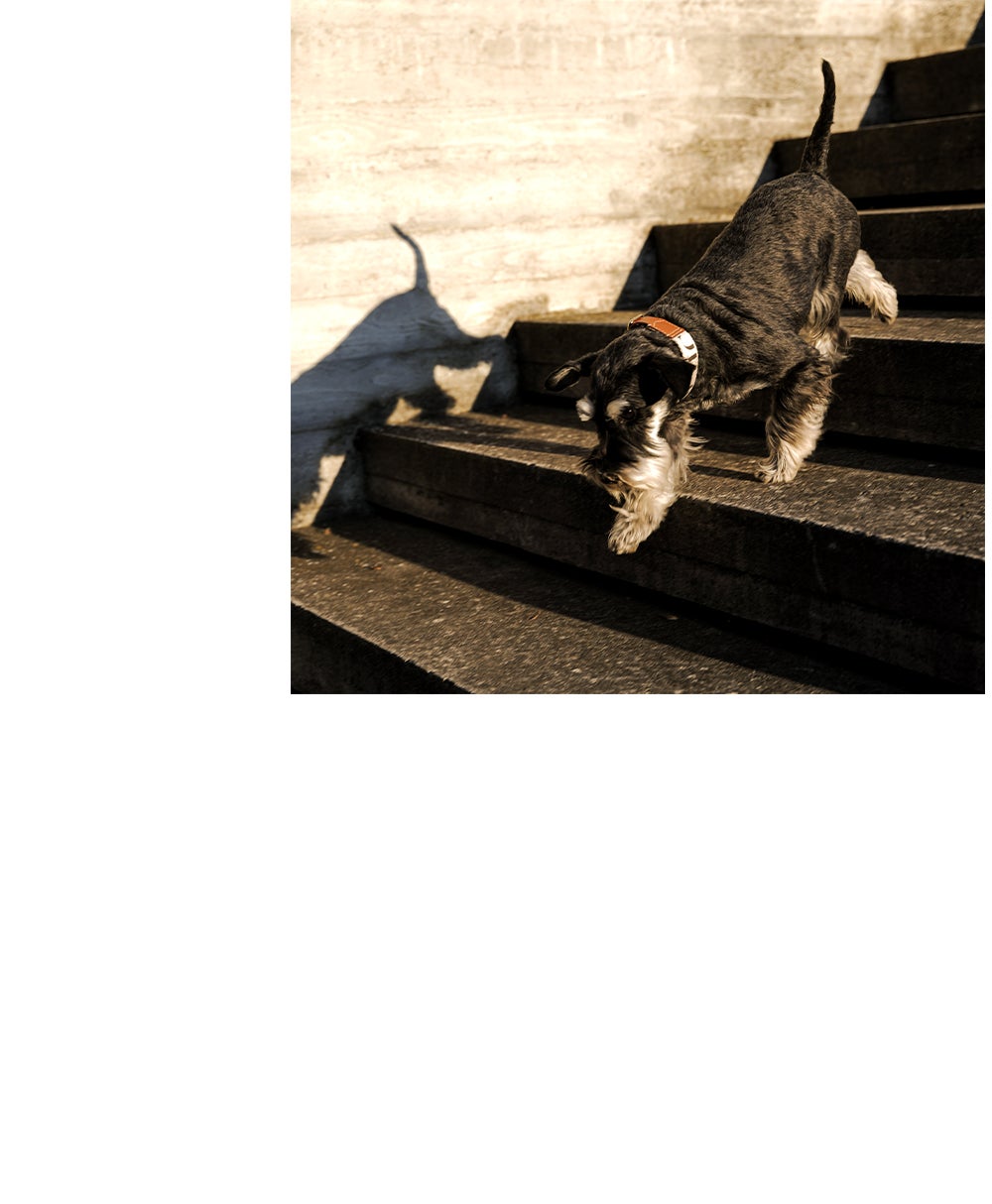 Banner 13