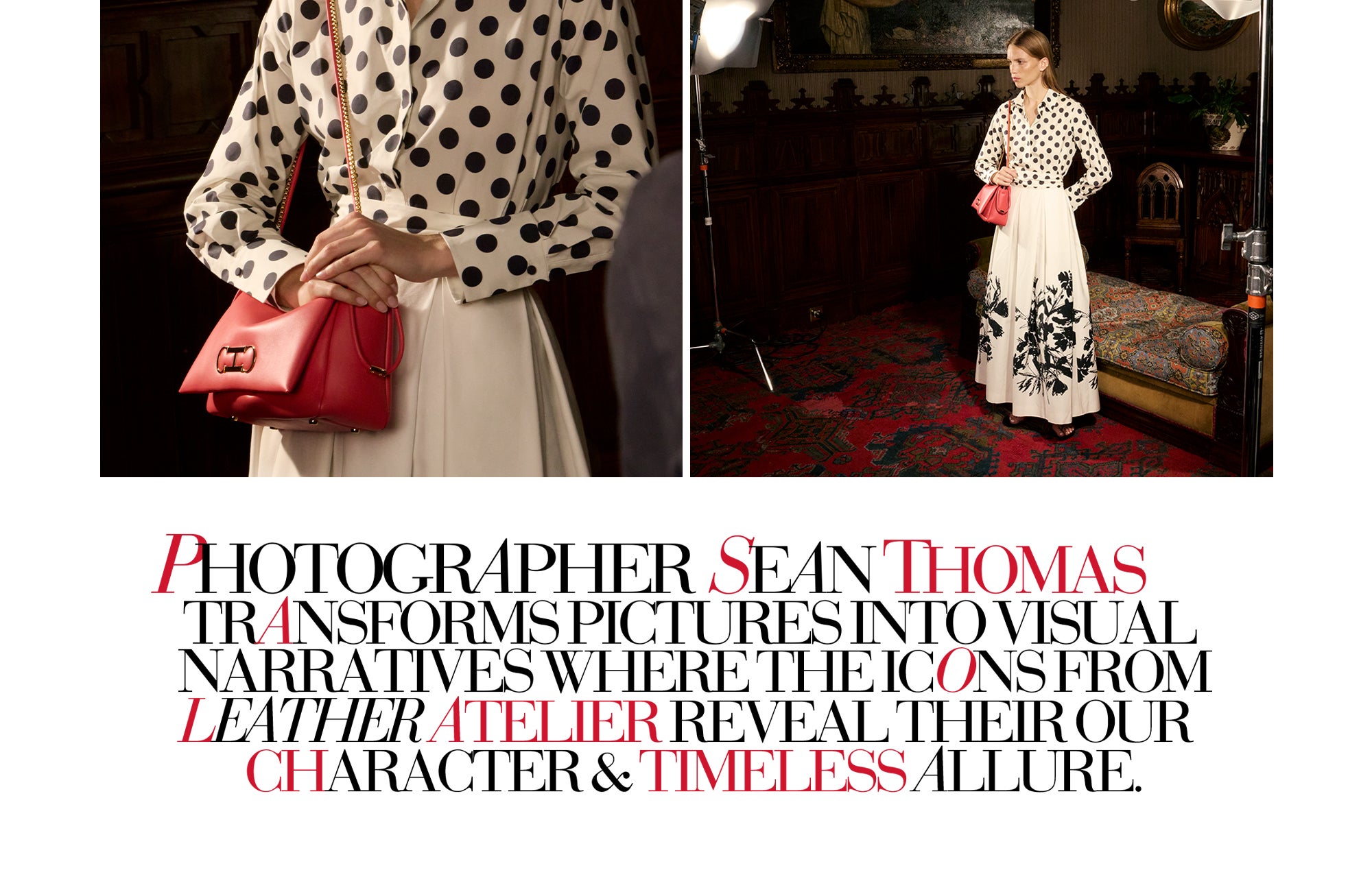 Ver Colección Completa