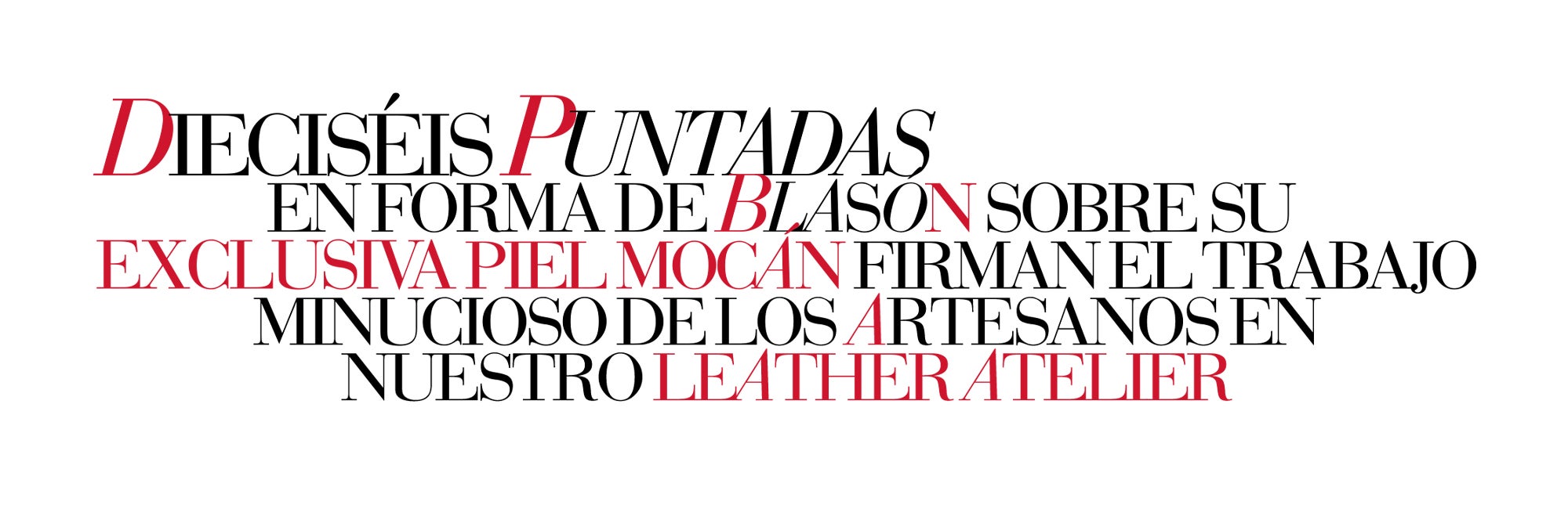 Imagen 7
